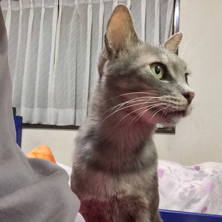 B117b9ba 495b 4666 ae48 4b8c669c8ec3 1568553831371