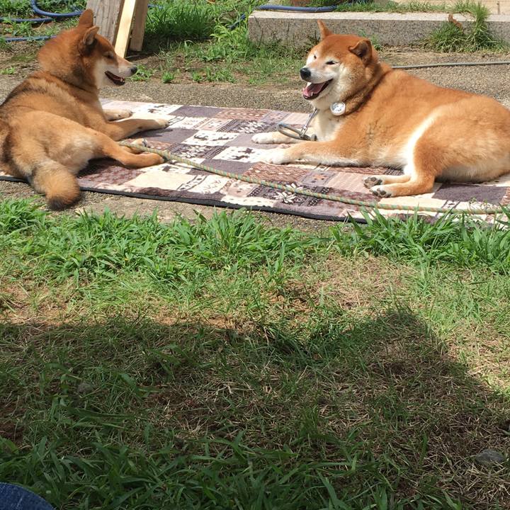 B117c5c4 ba9e 4381 81cc 34e14f3a4788 1629028447845