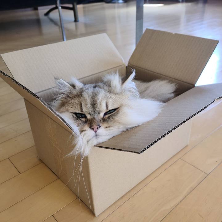 B117d125 923e 450a af7a d16dd0d83825 1678412957199