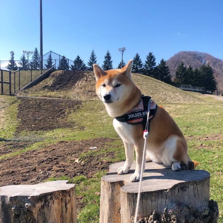 B117de6a f5ab 49c5 9d5c b5e064d05c60 1555039065176