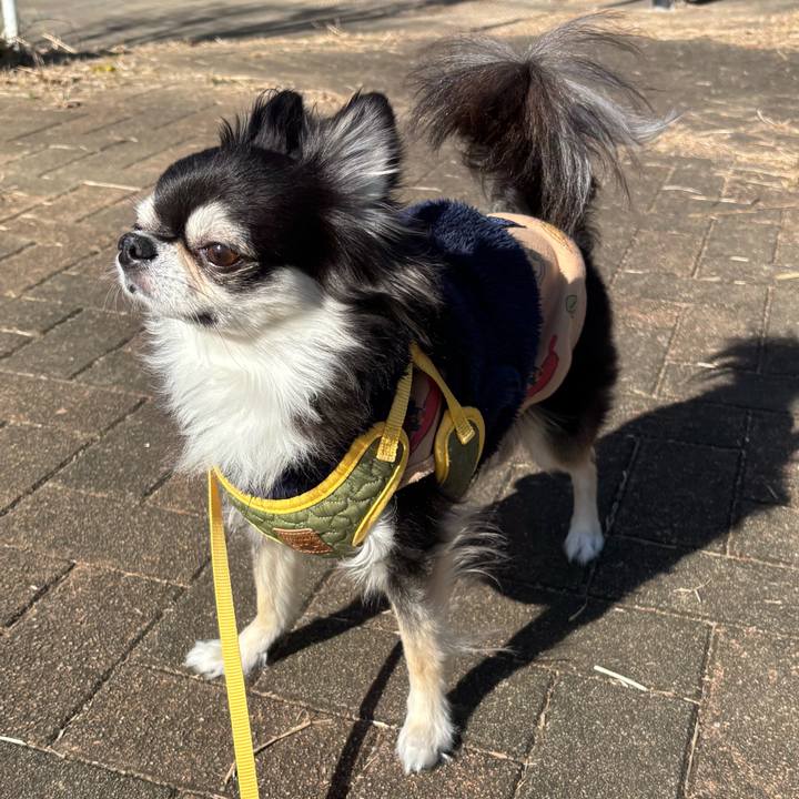 B117e100 2efb 49b9 8c0e a1b21be09ff4 1735576547680