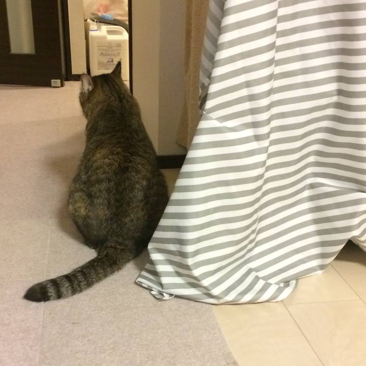 B118116c 598c 454a b8d4 cd1abb0ae741 1580469433597