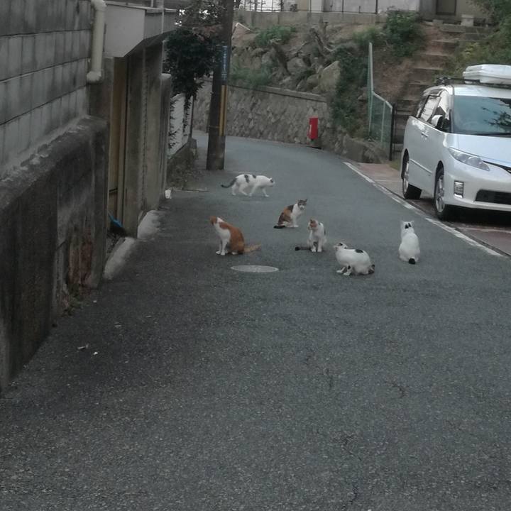 B1181754 13f3 4ff5 bbc6 89390ac200aa 1507714655669