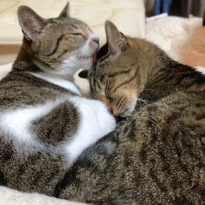 B1183dbb 4c28 4ac9 9f76 81c8500da730 1572655828841