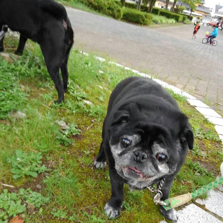 B1184c7f 6e74 43b6 9e88 a7c49de49313 1527945935817