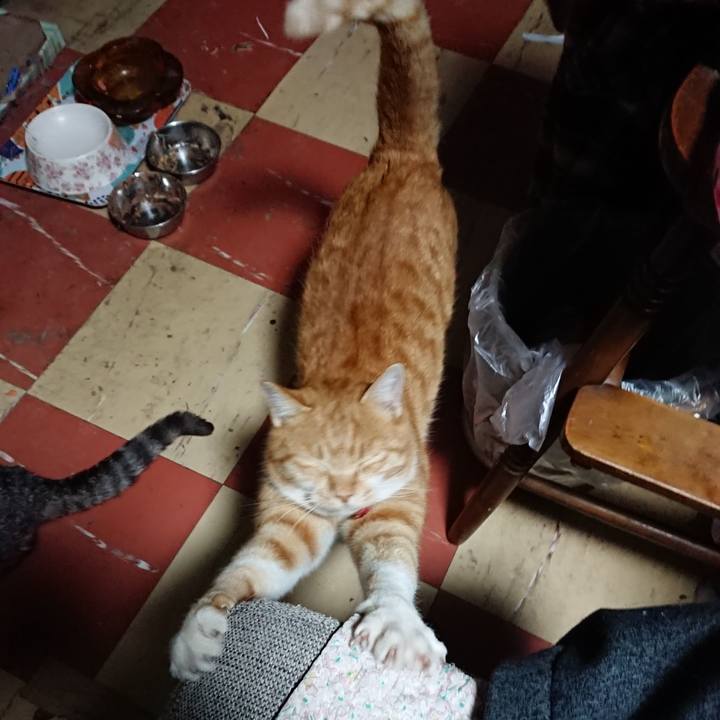 B1185c05 55af 49c5 ae4e b40e9f321ad9 1575403113104