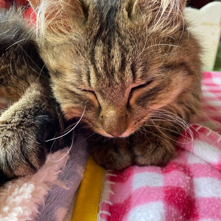 B1189a27 a6a0 43d3 b630 1d759a47a63d 1680324274797