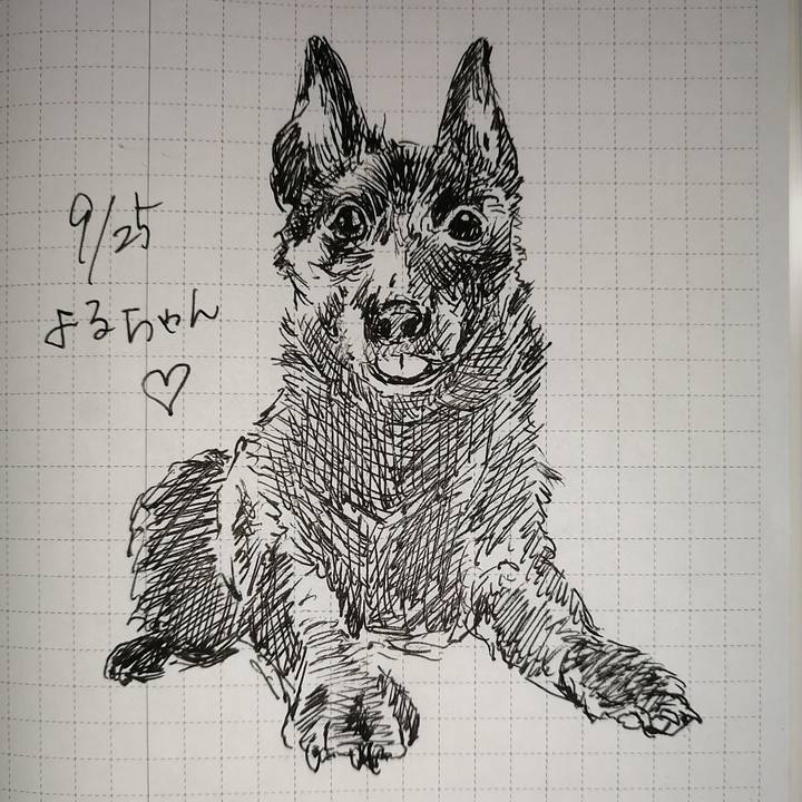 B118f777 c479 4096 8090 54fba3a20147 1664317431348