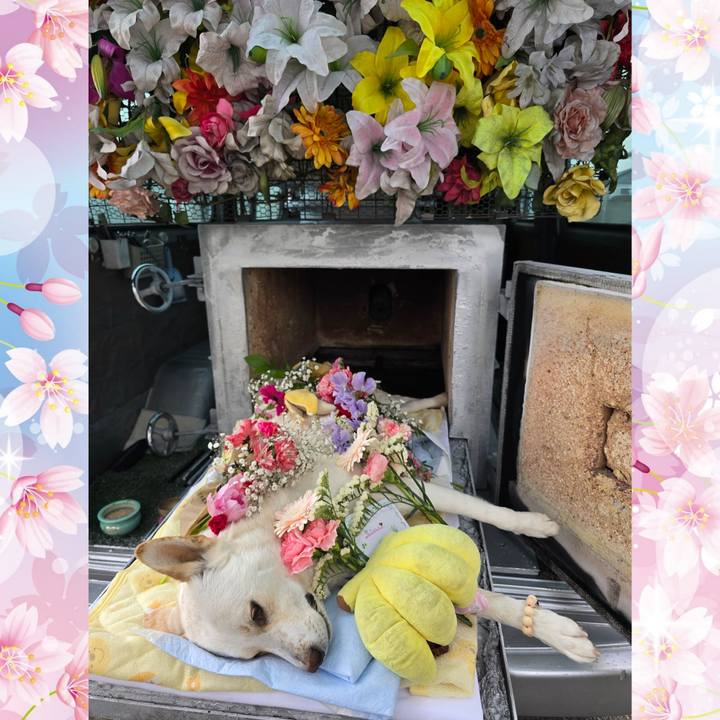 B118f827 5344 47ae b702 0908ca81746d 1774254302484