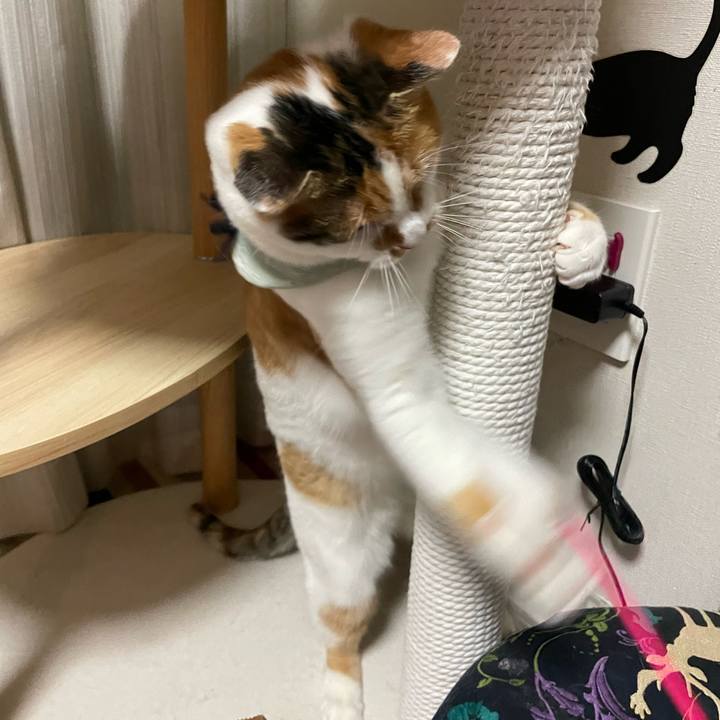 B118fa94 9360 4bc2 a274 90f9579badab 1672326170873