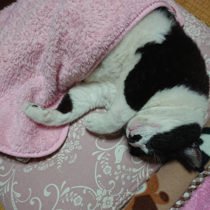 B1190c40 1a7f 42a2 a188 1107b256507d 1634122311894