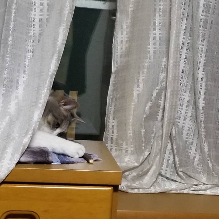 B1191faf c146 4cde 9c5f 3fc8ef6010f2 1590500590642