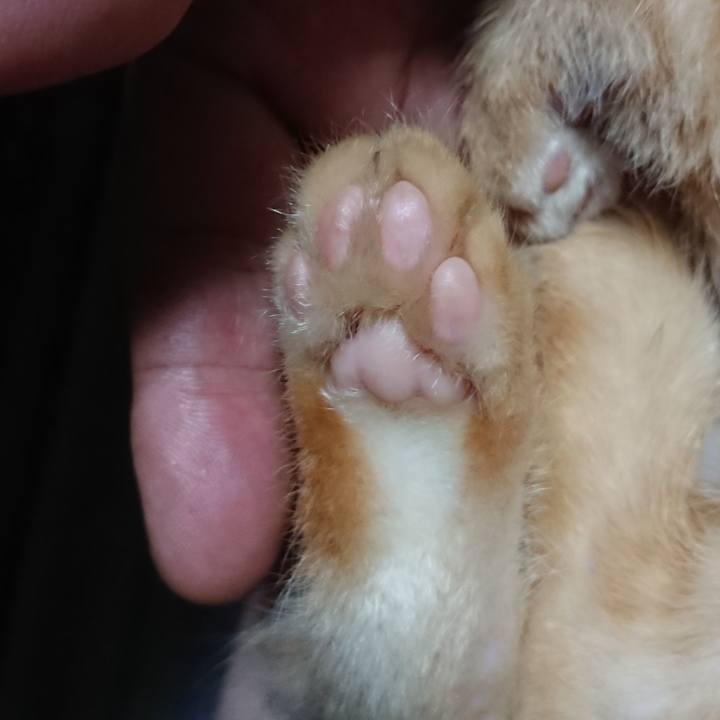 B11929af be46 4e08 bc74 3d842bc2fb11 1630613095665