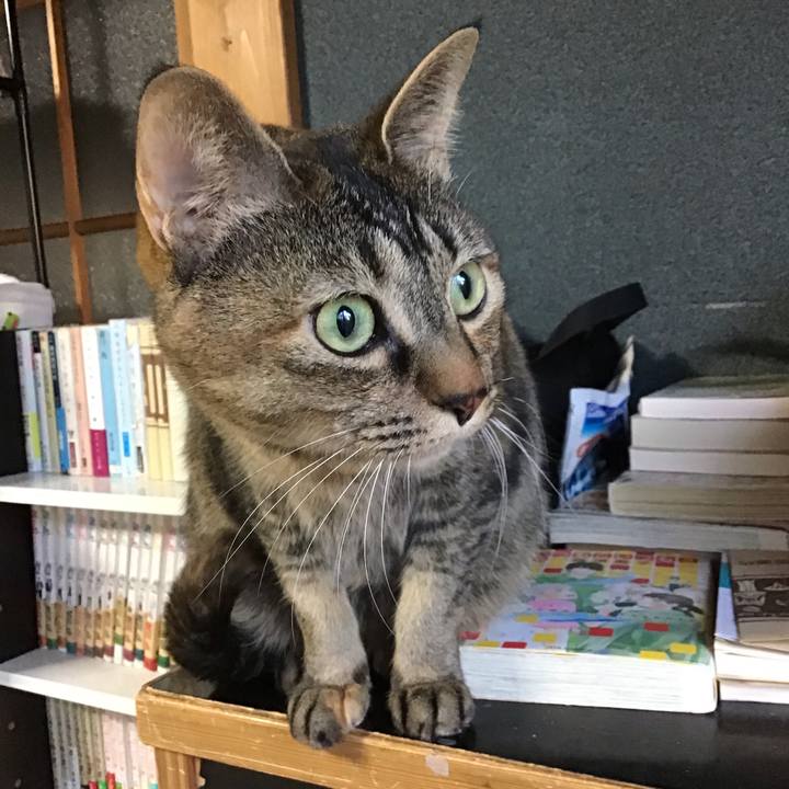 B119438e 300e 4983 b343 7e1d088fc282 1650099430863