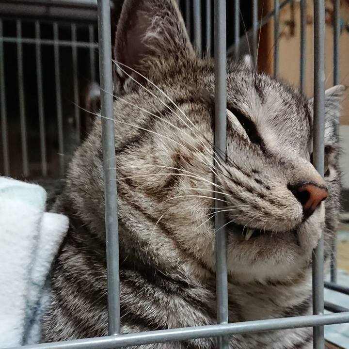 B1194e2c 255c 498a b162 dc7b7b9be19e 1513856958941