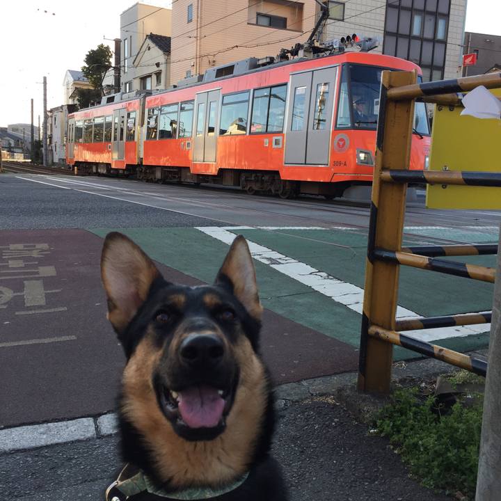 B119941f badf 47b3 aa5c f651e8cc2183 1520808364855