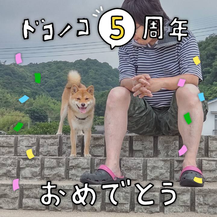 B11a0472 87d2 4b97 805f 6527683c3e8c 1623654623399