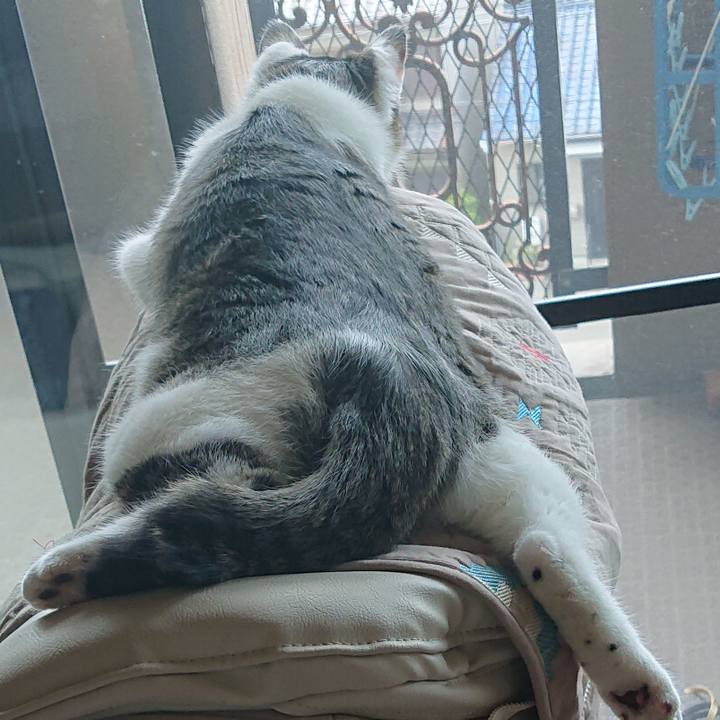 B11a4188 092b 42d2 9c09 fd3c63b6ec0c 1558051363971