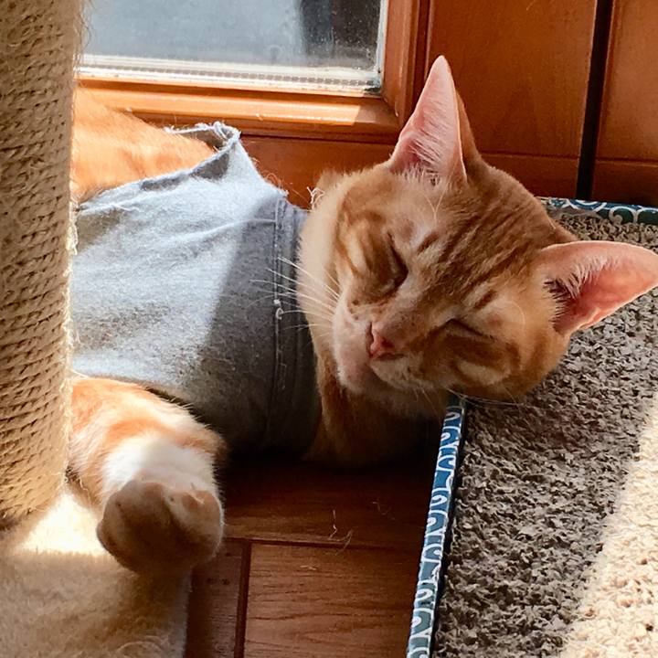 B11a8748 89d6 481d 9766 40423aeab9f9 1523157419807