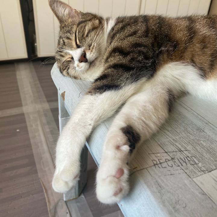 B11a9c77 629c 4da8 97d0 aeab519e6ace 1627194065829