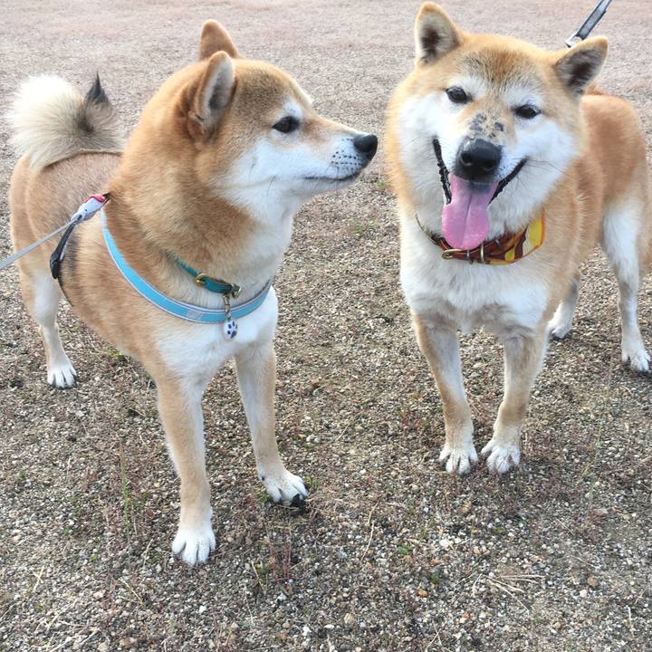 B11acca1 124f 47a7 be61 89c0d6f5bee4 1573108245271