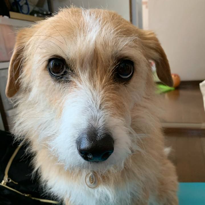 B11ad327 60dc 452c b70a 88c0f7acbb9b 1618395309771