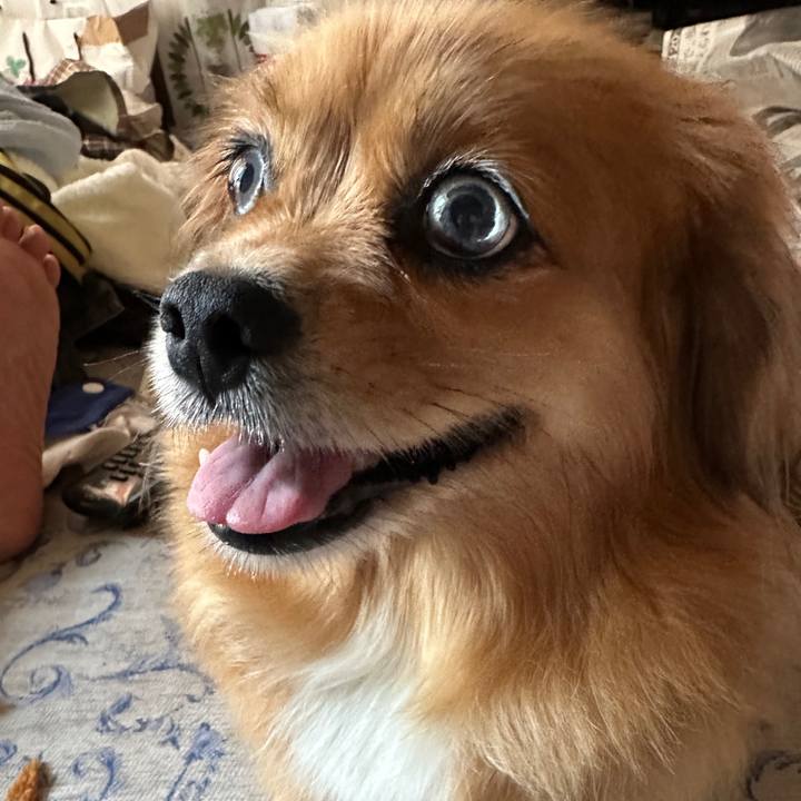 B11adef5 7f98 49b3 ae01 e5ad5cd3b839 1691791603168