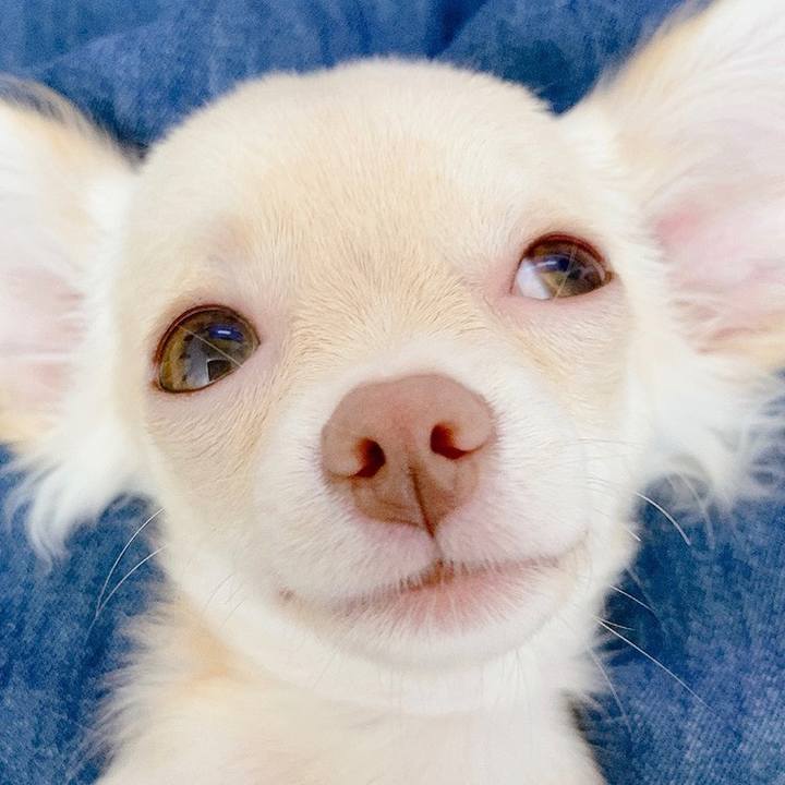 B11af210 64e0 4e4c b9e0 323af25ce093 1593234101802