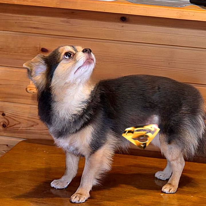 B11b2053 8423 4718 9d46 68921865bccc 1768282207968