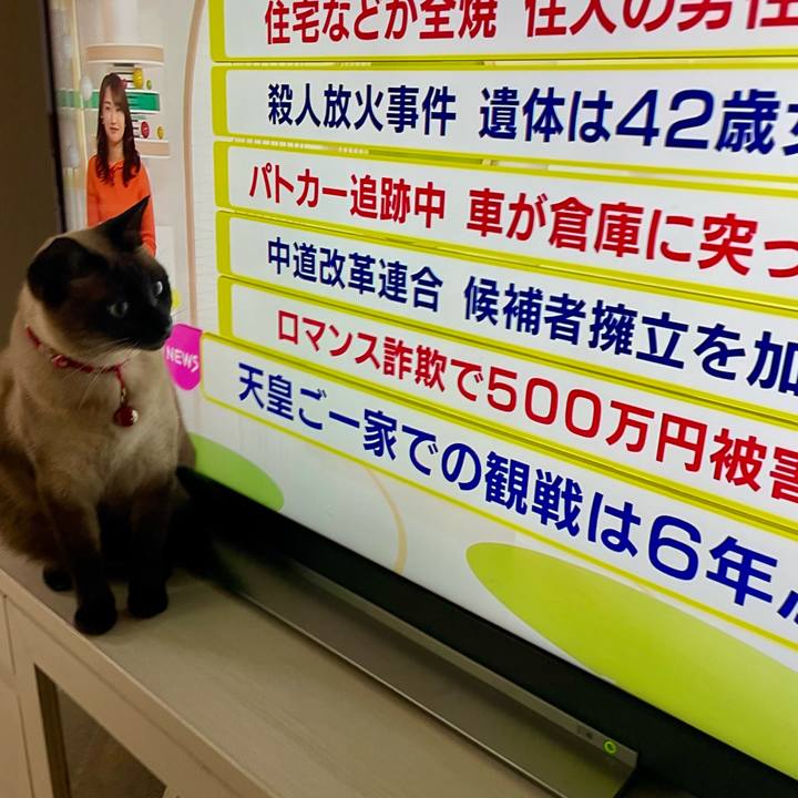 B11b2d76 7d53 48df a5c3 38eee74852b2 1768769559967