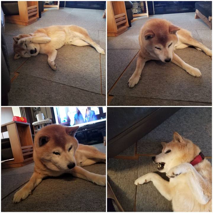 B11b4769 3615 46af 8005 eeffa4d0c5a3 1743466314953