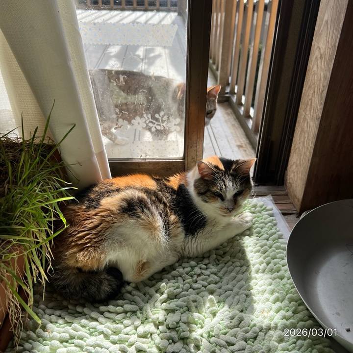 B11b7e6b 5465 49ea ad64 b19b39101493 1772328114620