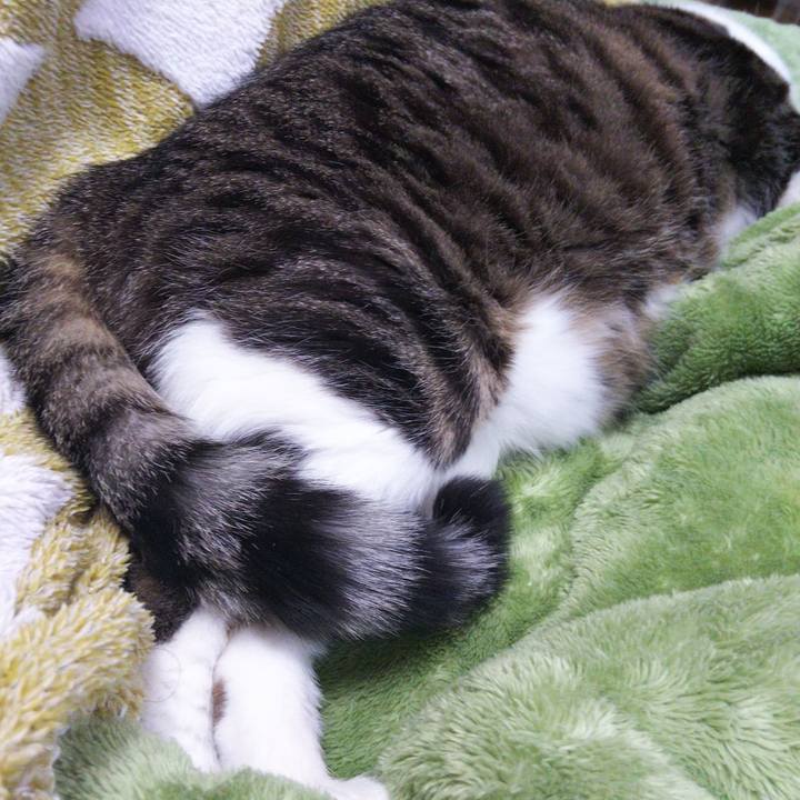 B11b9dc3 3bf8 431c a20a 6983097f8bcc 1646567157879