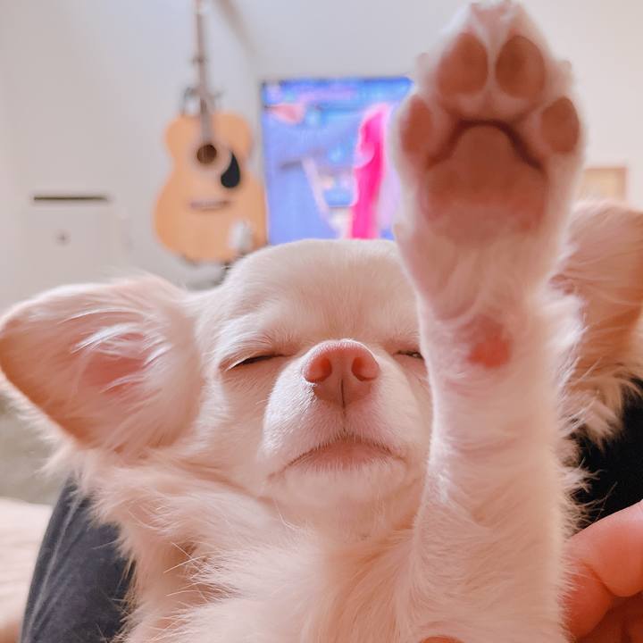 B11be409 2c3a 41e5 9a42 fcd961c5b38b 1655514751597