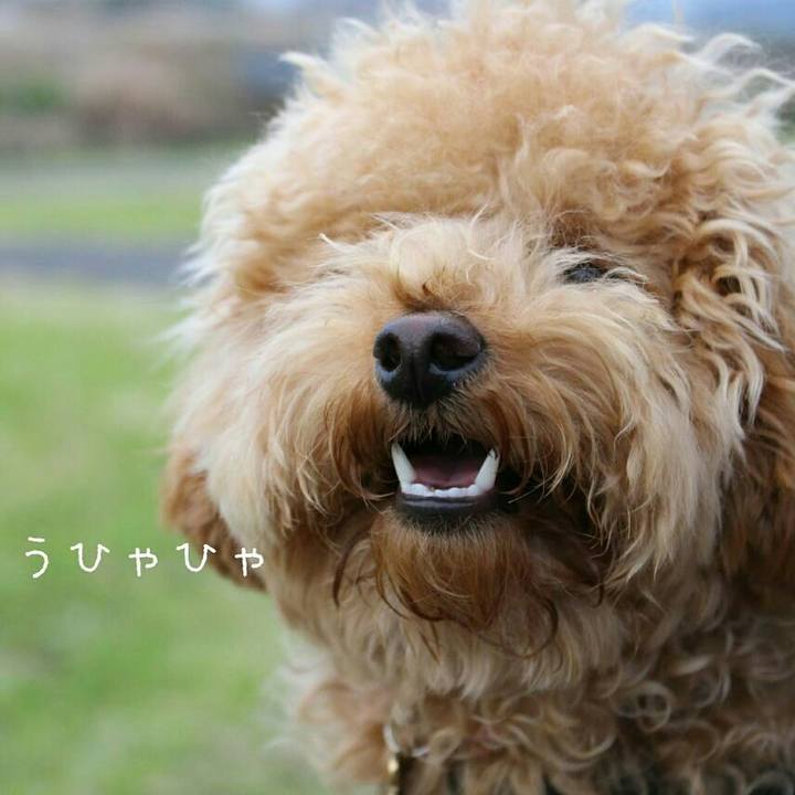 B11bf7f6 8a72 4fd3 8ac3 b92d9eae931d 1512123889902