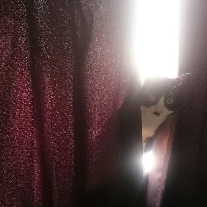 B11c3c46 a4f2 4244 ae00 a37fc66fa8aa 1524267196251