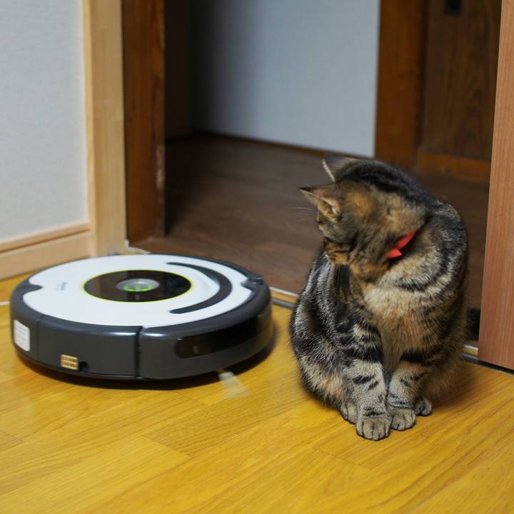 B11c4899 9da5 44a7 94db 18f66a4668e0 1535600793825