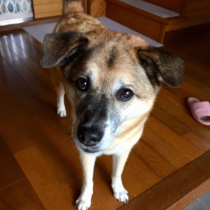 B11c60ba 6af9 4156 b147 64df5854a48f 1568674295118