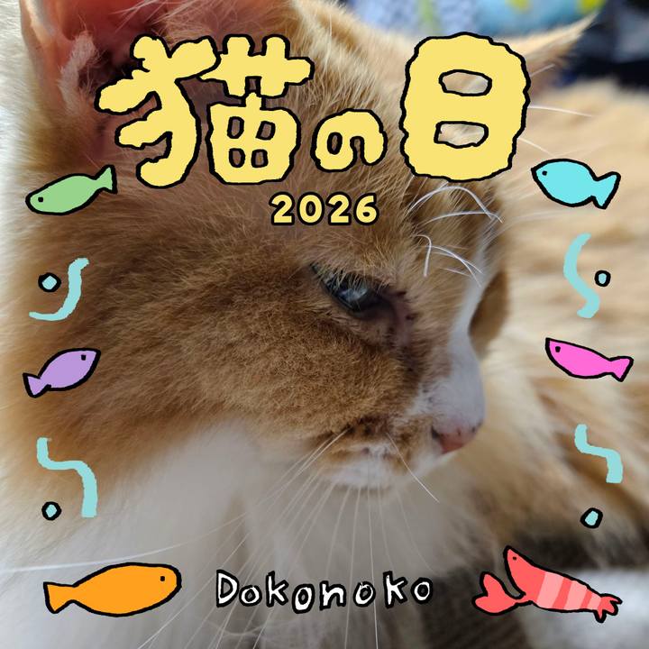 B11c8086 9f08 4d81 a058 ca0a3ec4a19a 1771717773375