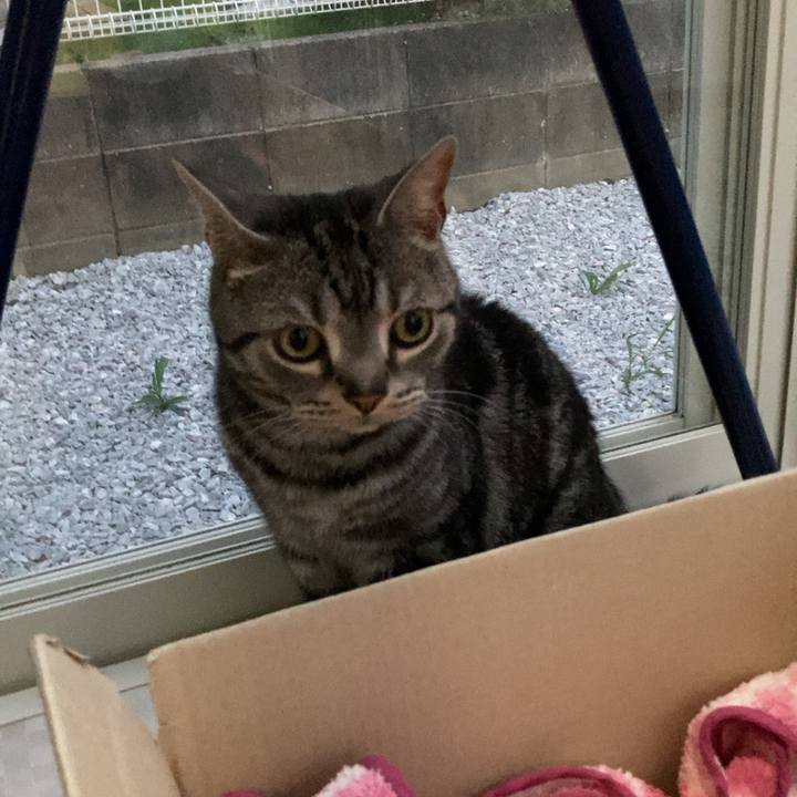 B11c9445 115d 4144 a918 8b134906b2b6 1624187664262