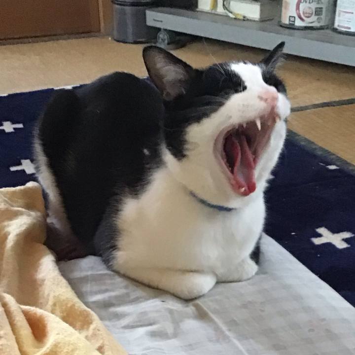 B11c995f ba08 4636 b91d 5382a12a5e8e 1713432264854