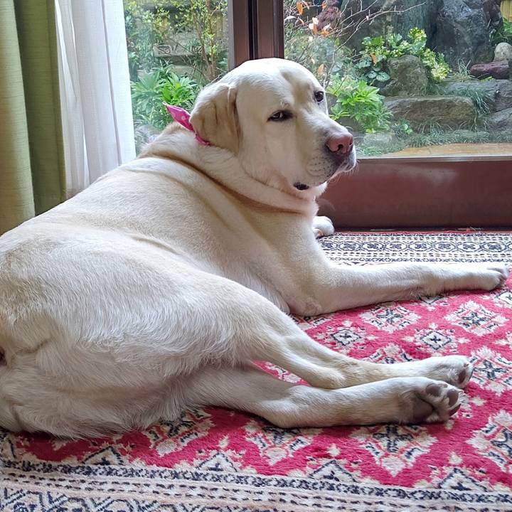 B11cccec dbf7 48dd b5f5 69957e5e2201 1586752623131