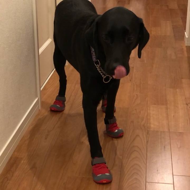 B11cdc03 28cf 49bd a8e3 6c5e7ba80f68 1554375626325