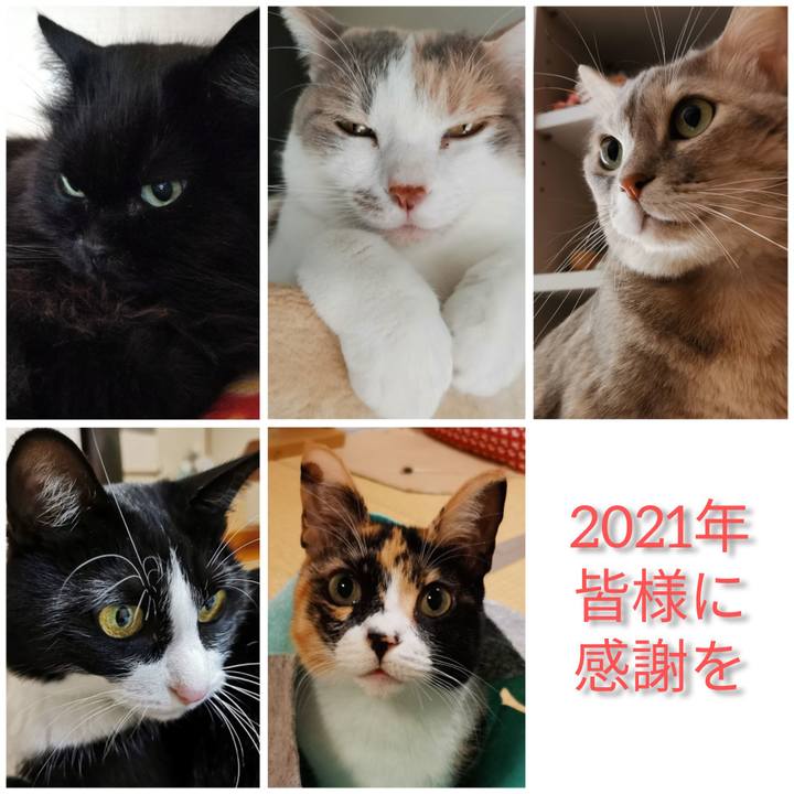 B11ce076 acec 46a3 9c9f ce5c49650253 1640953046843