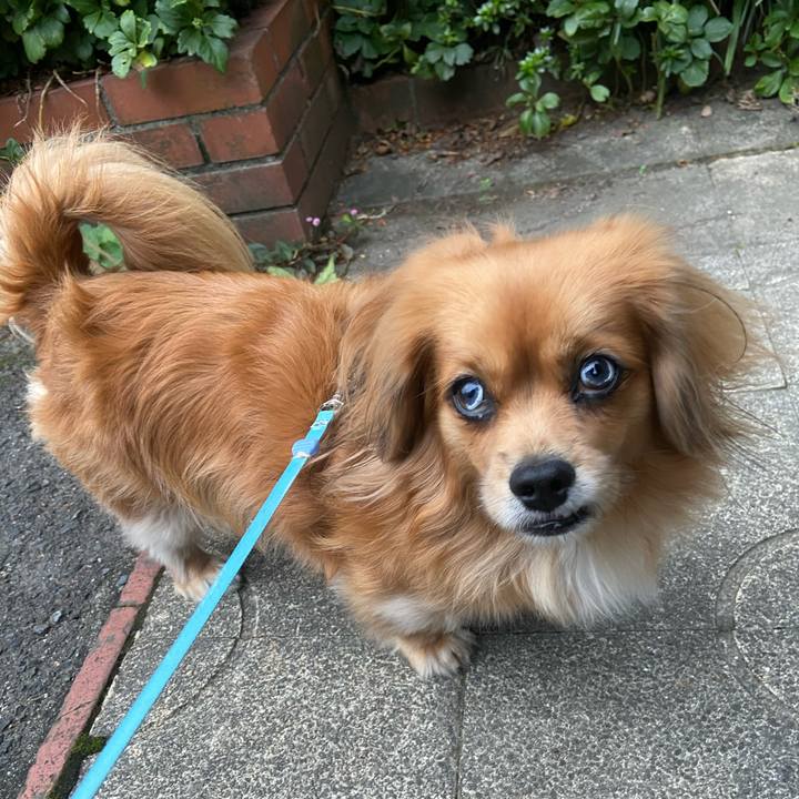 B11ce7f9 42f8 4628 97bb 78452b8b13a5 1604268763282