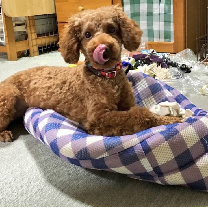 B11d27af 3d1b 4d48 88e1 1f008613eb72 1528170153833