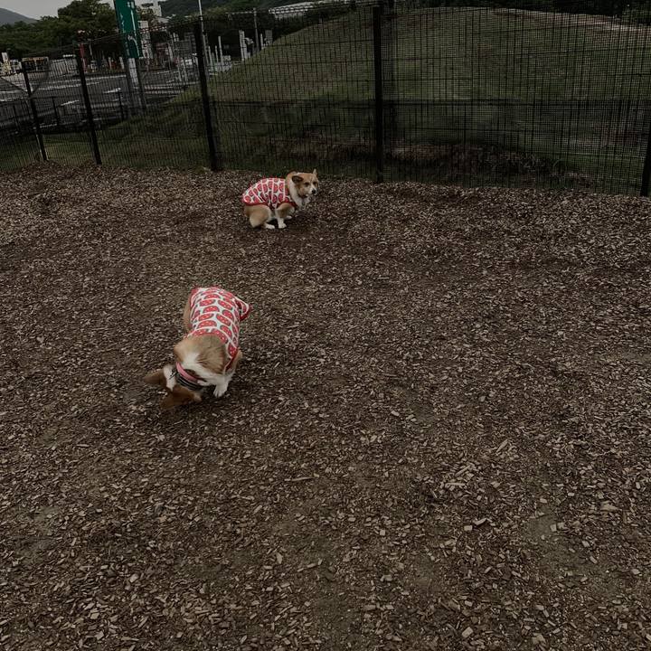 B11d53e1 c7c9 47f4 ab74 162f11dfe402 1560092141138