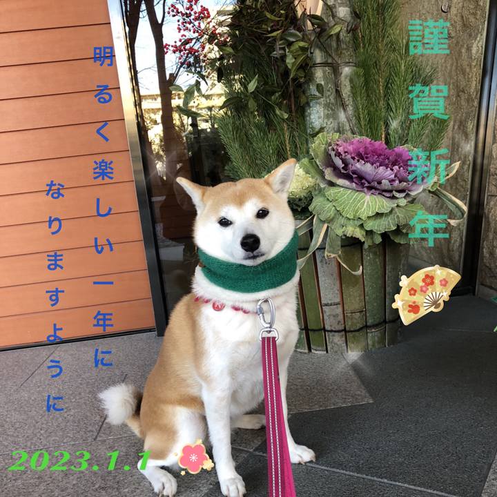 B11d6b75 ea14 4182 bff6 3555e4653c73 1672535347878