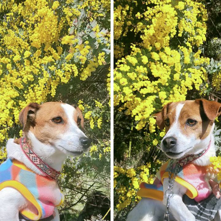 B11d76a1 dc21 456a b75e 291124649cd5 1772962165410