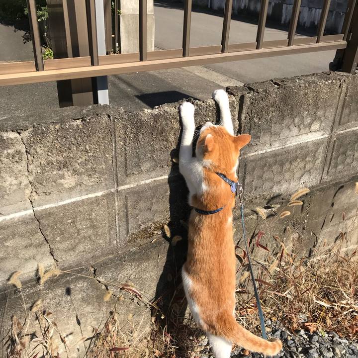 B11da4c7 d28f 4df6 96a7 f54cc420d1e7 1510281684482